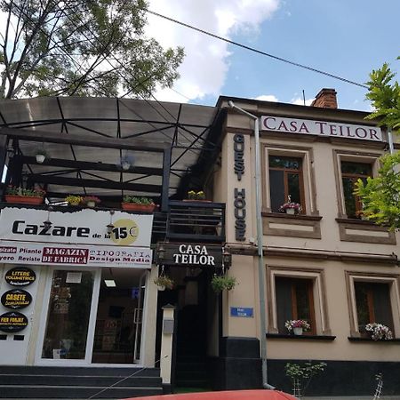Hotel Casa Teilor Piteşti Exteriér fotografie